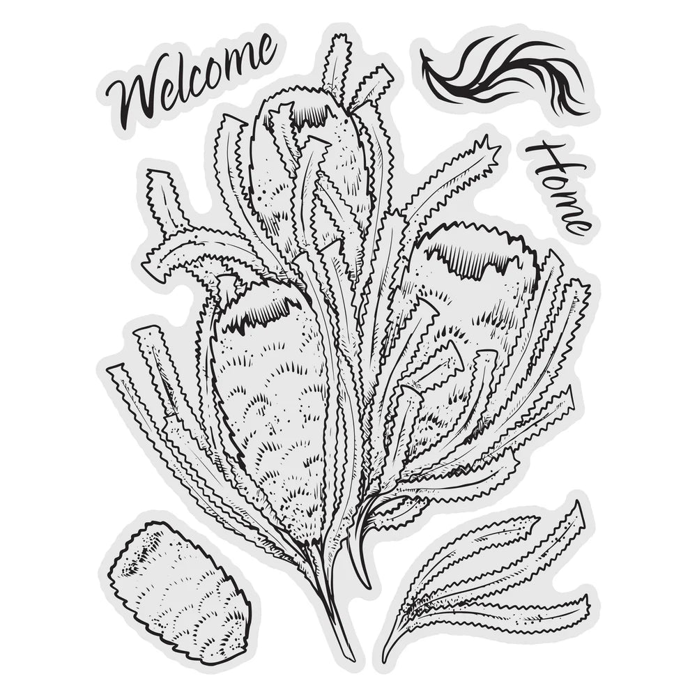 Couture Creations Stamp and Colour Stamp, Charming Banksia Set