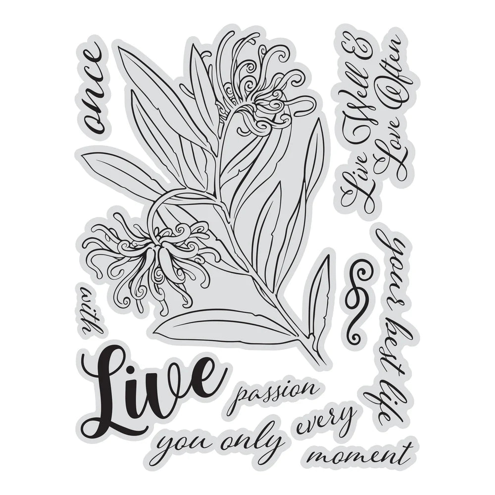 Stamp, Die & Stencil - Flourish & Thrive - Grevillia Blooms