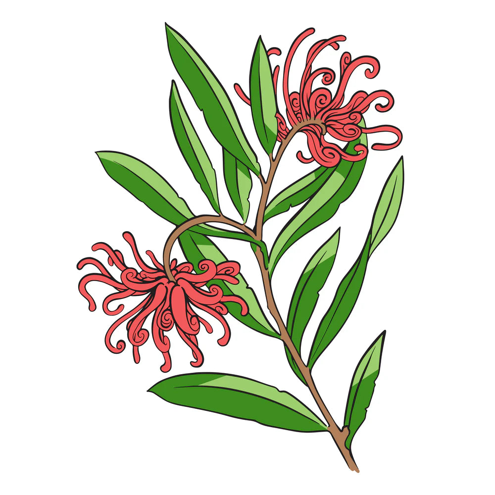 Stamp, Die & Stencil - Flourish & Thrive - Grevillia Blooms