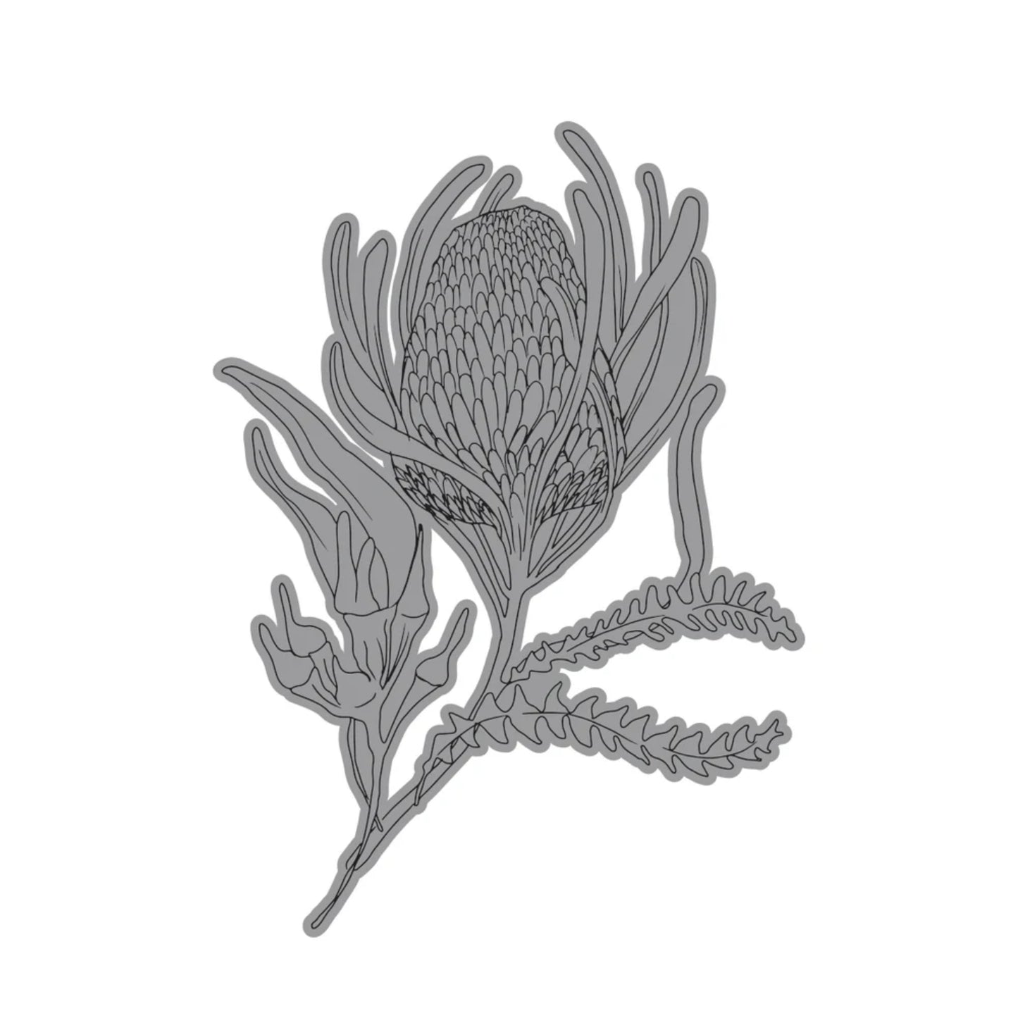 Acrylic stamp, Banksia